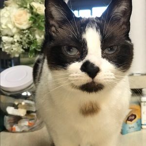 Meet your Posher, Samantha